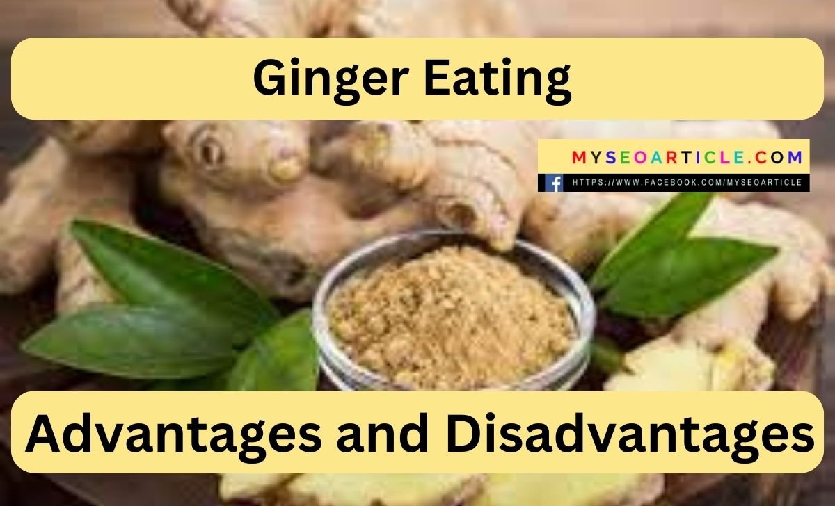 Ginger Eating Advantages and Disadvantages